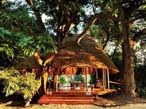 Bilimungwe - lounge